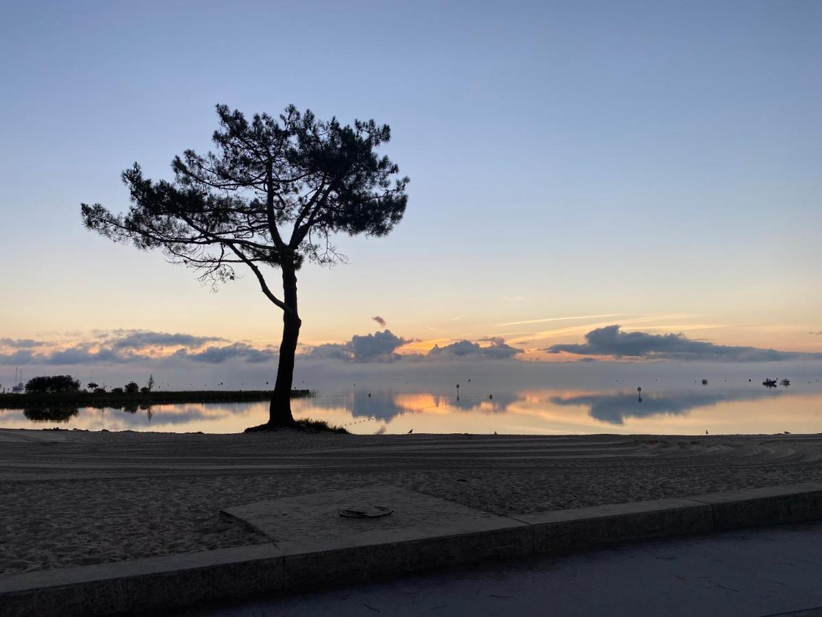 Apt Les Grands Pins, Entre Foret, Lac Et Ocean Каркан Екстер'єр фото